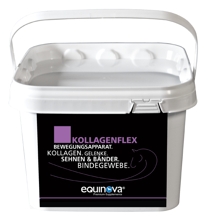 equinova Kollagenflex
